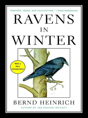 cover image of Ravens in Winter